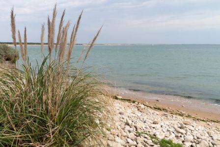 Bientôt les vacances d'avril...